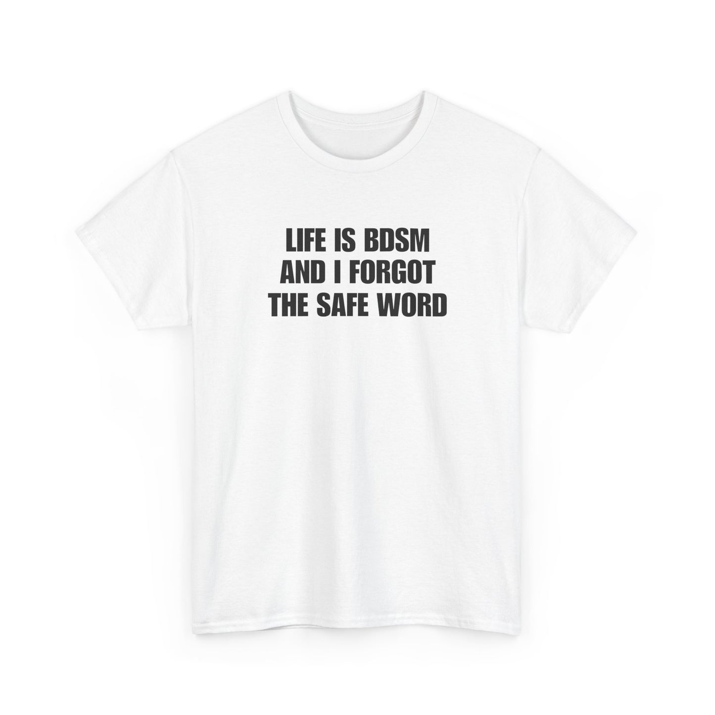 Life Is BDSM and I Forgot the Safe word