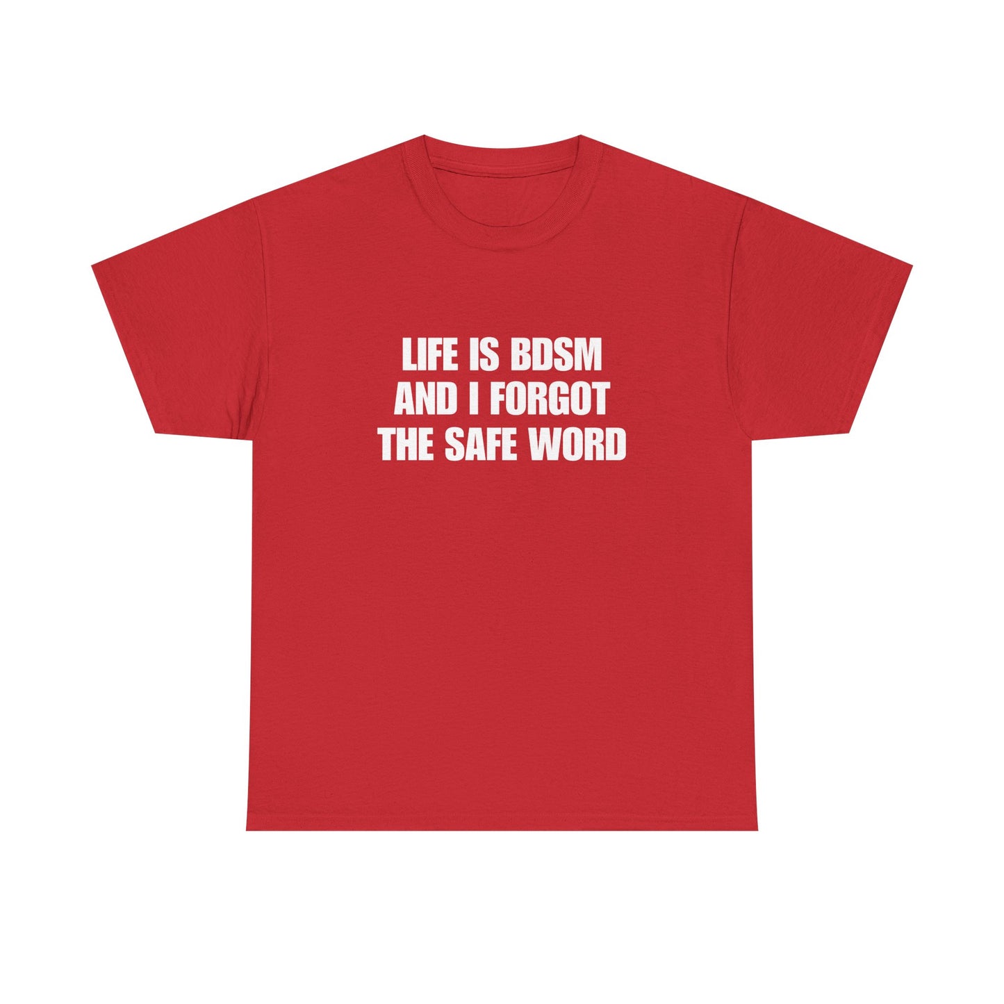 Life Is BDSM and I Forgot the Safe word