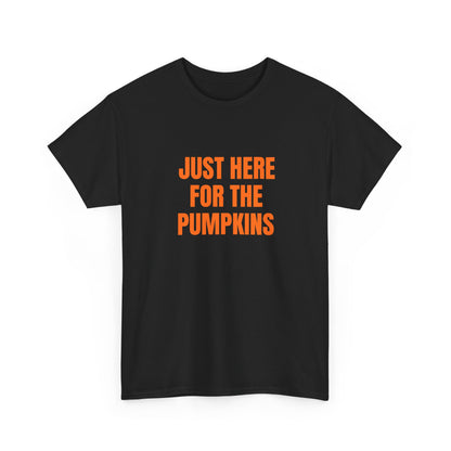 Just here for the pumpkins
