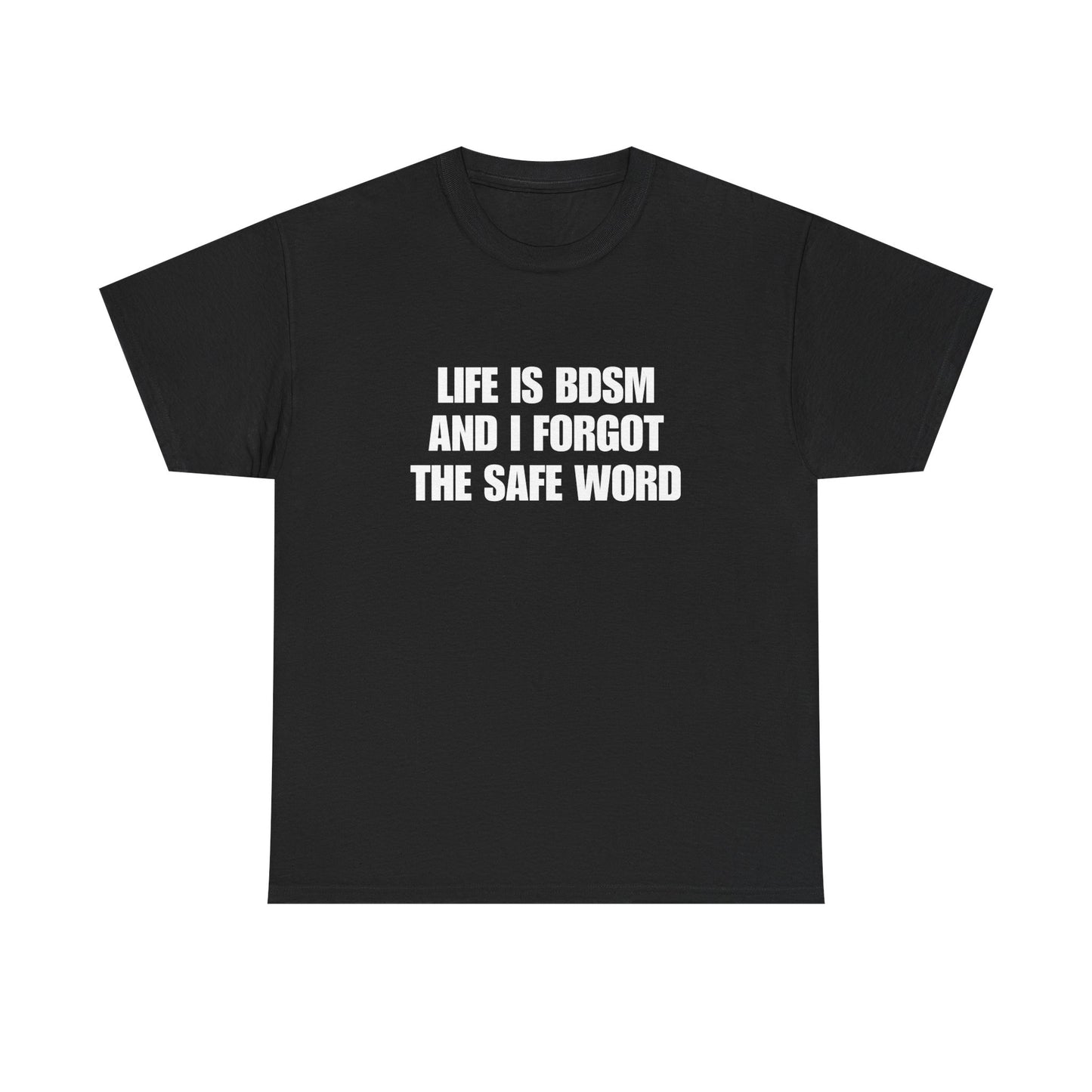 Life Is BDSM and I Forgot the Safe word