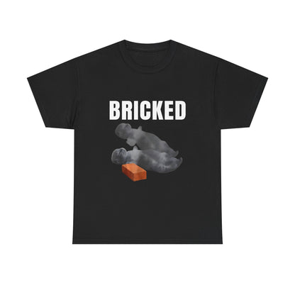 Bricked