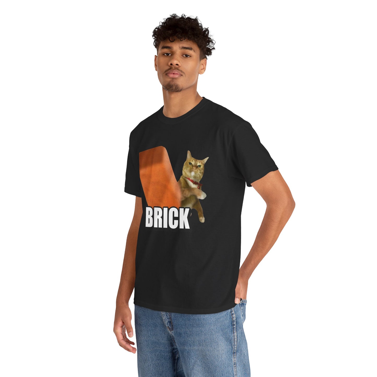 Cat shirt - brick