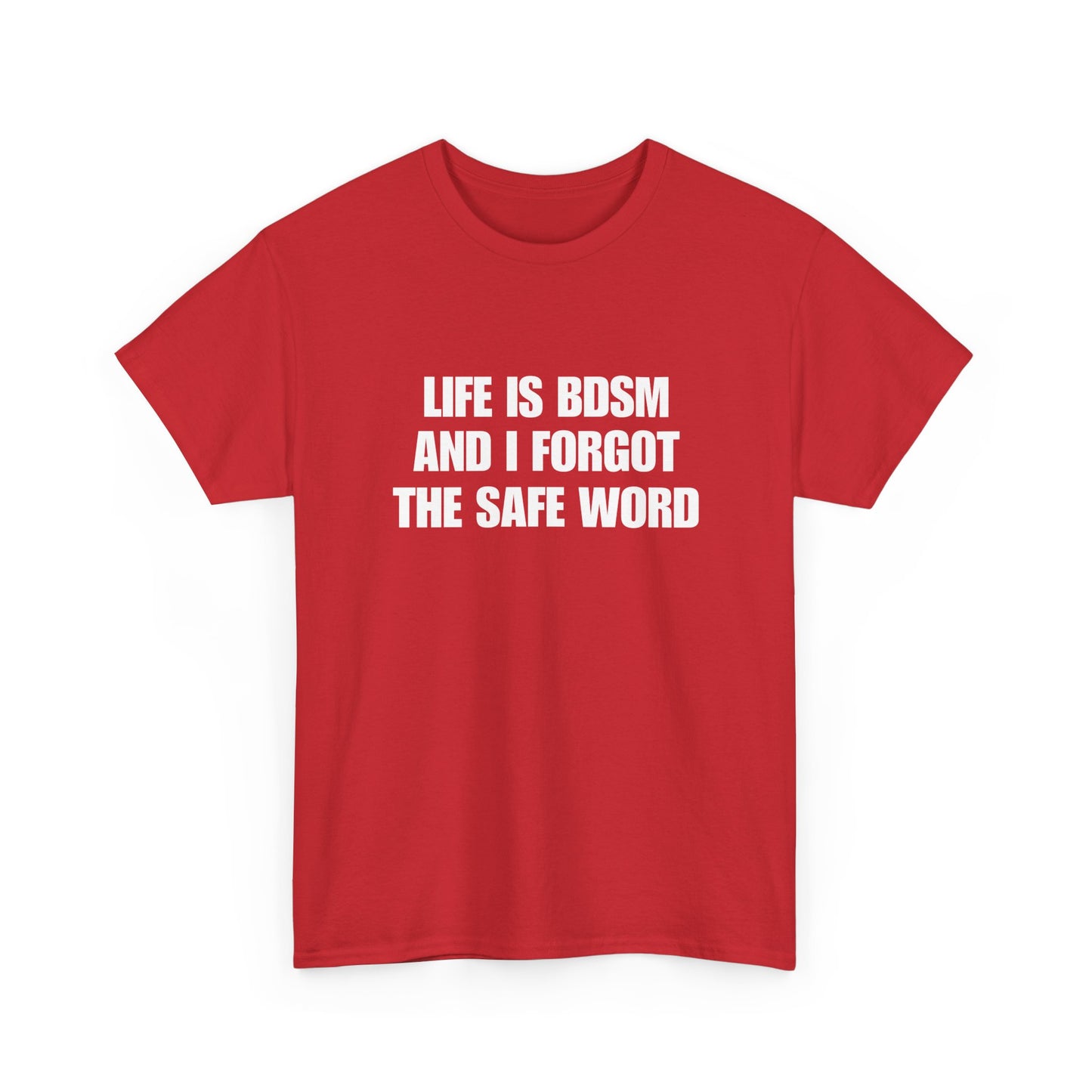 Life Is BDSM and I Forgot the Safe word